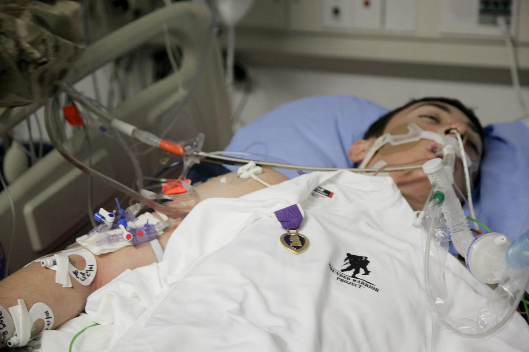 seanpesce-purpleheart03