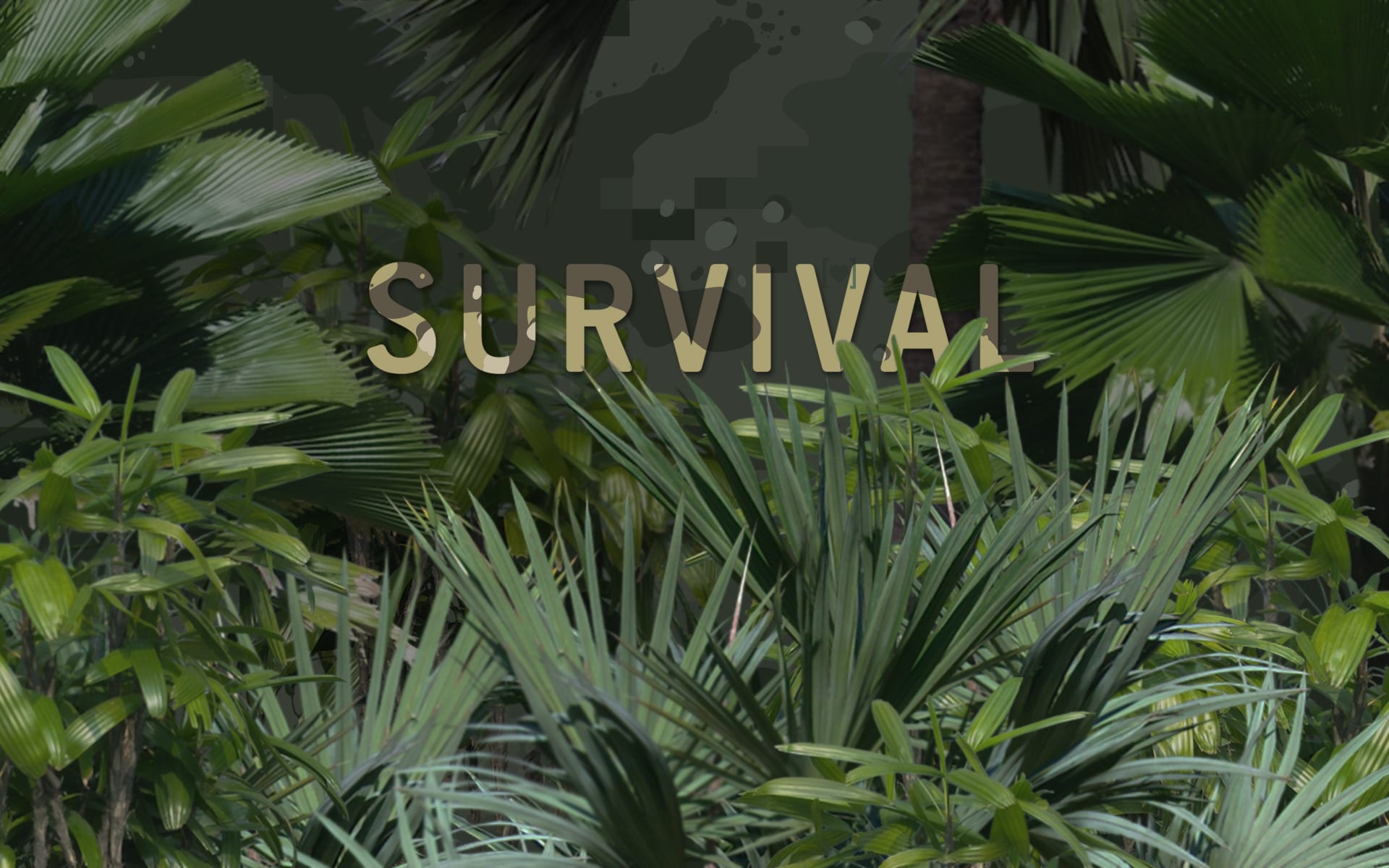 1920x1200-survival-plants