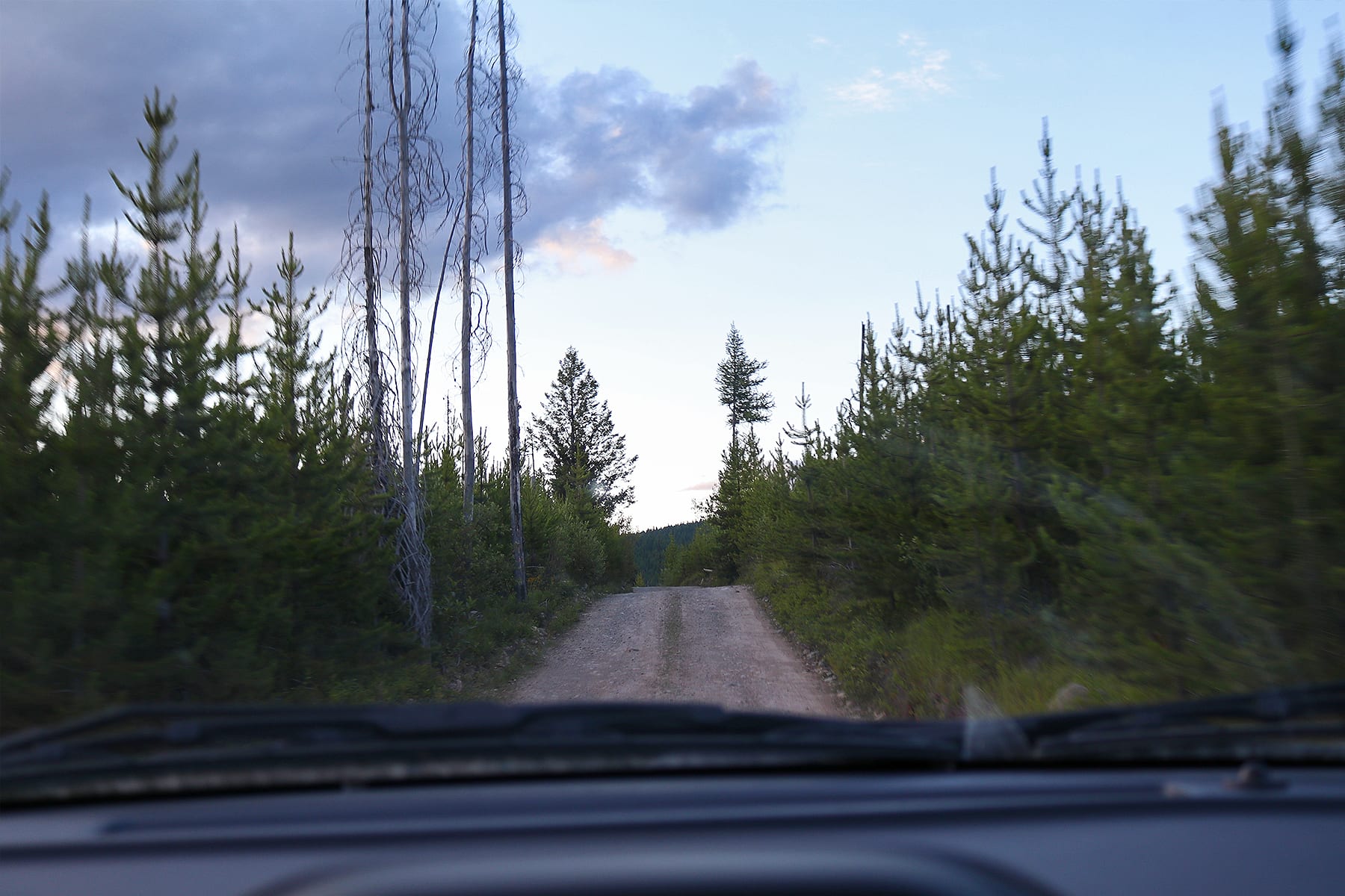 glaciernationalpark05