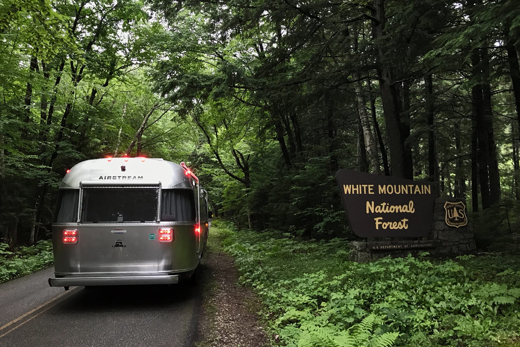 02-ME-journey-airstreamenroute-whitemountainforest01