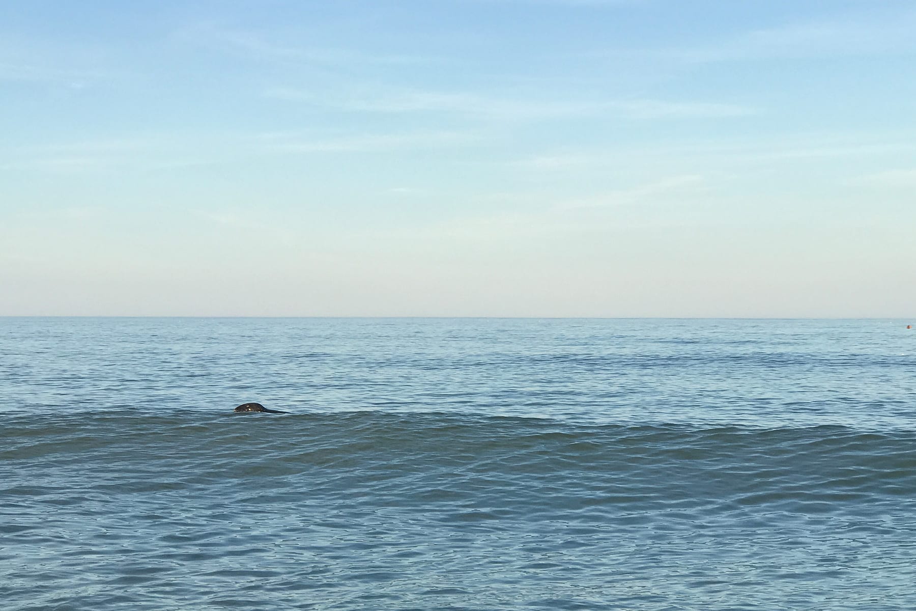 04-MA-journey33-seal