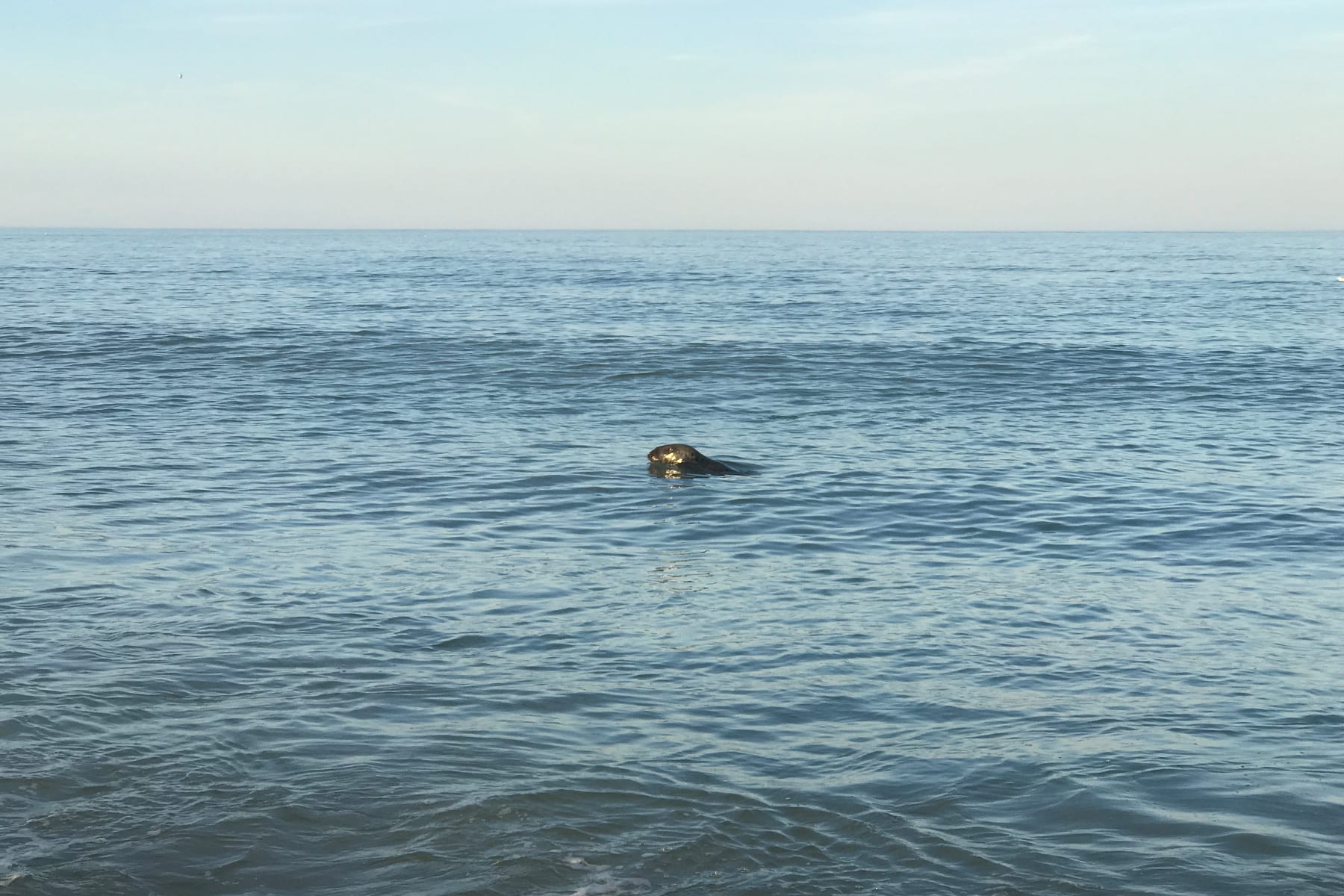 04-MA-journey33-seal2