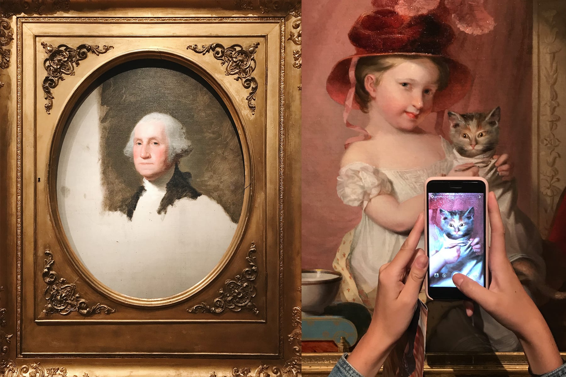 04-MA-journey39-artmuseum-washington+cats