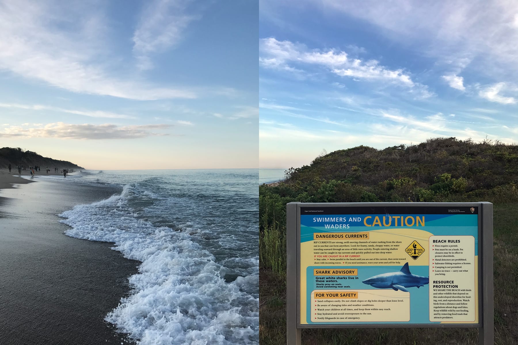 04-MA-journey41-beach+sharksign