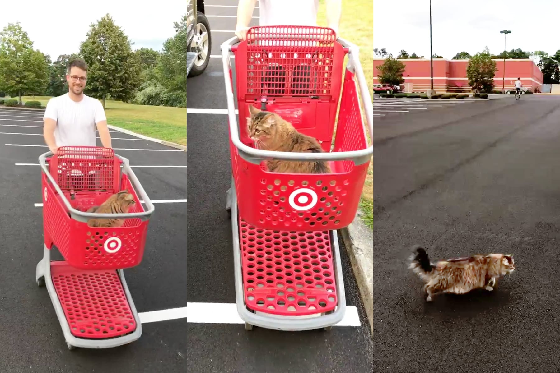 05-RI-journey-targetkitty