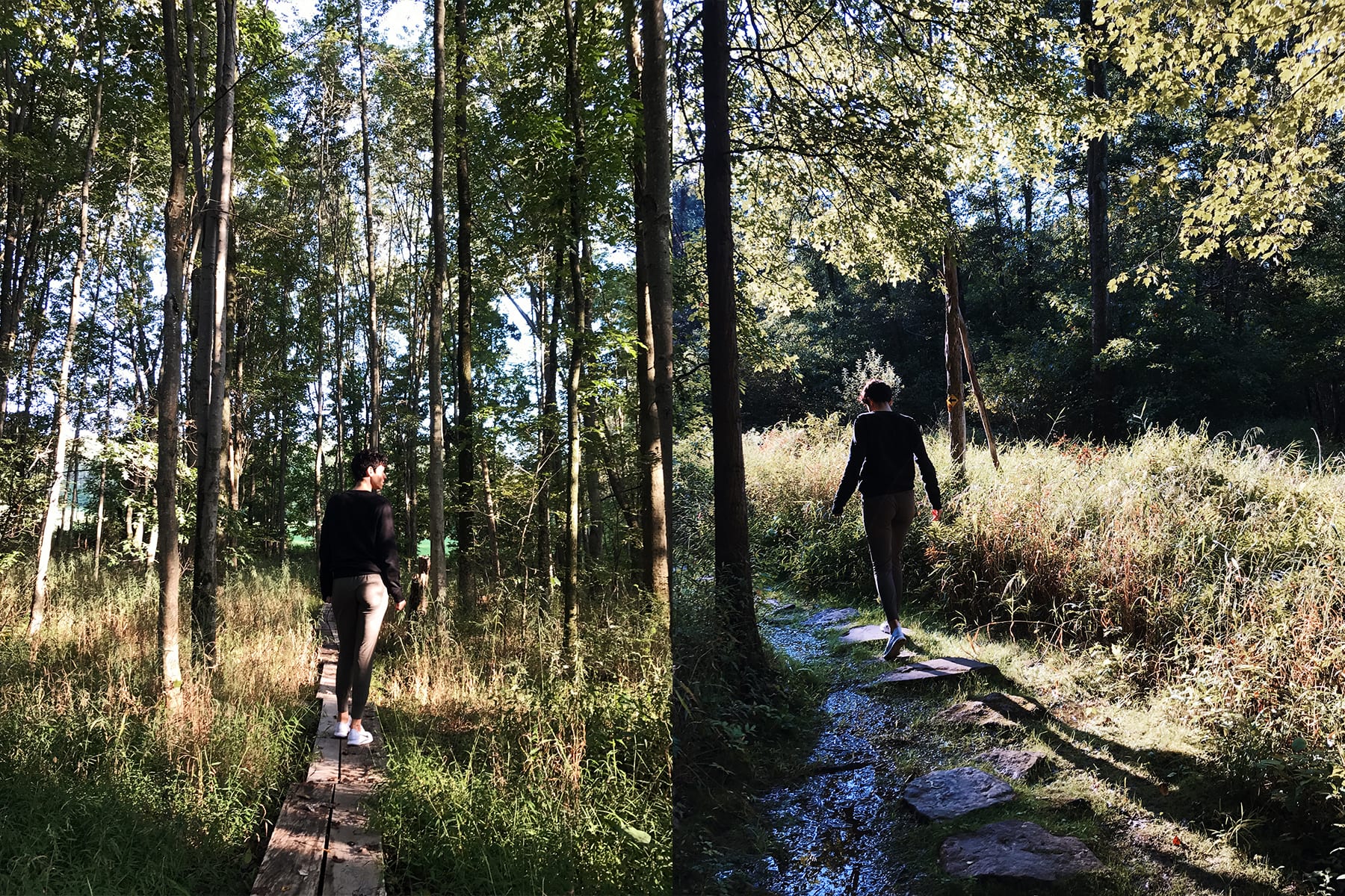 06-PA-journey01-countryhike