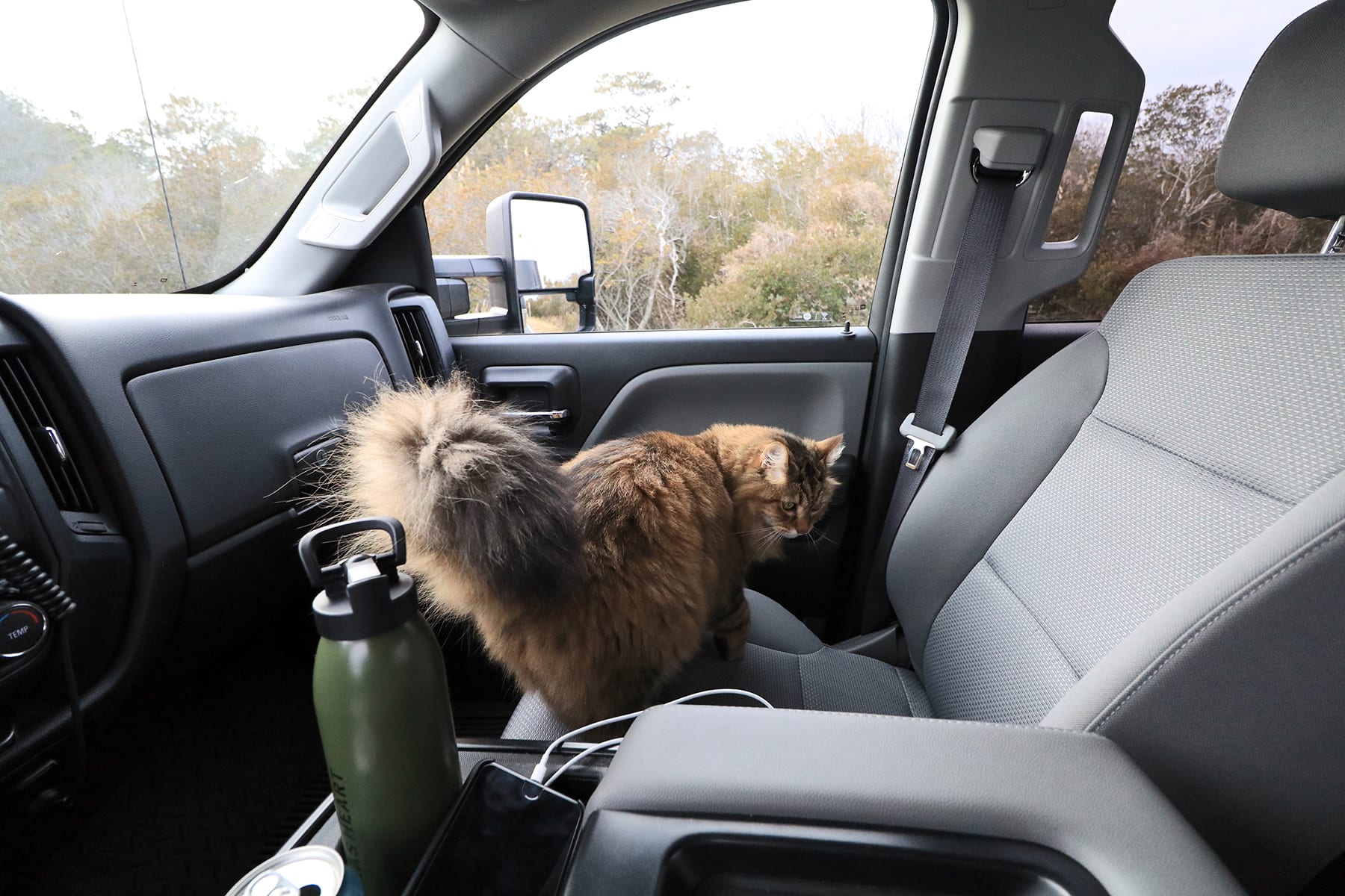noel-car-frontseat01