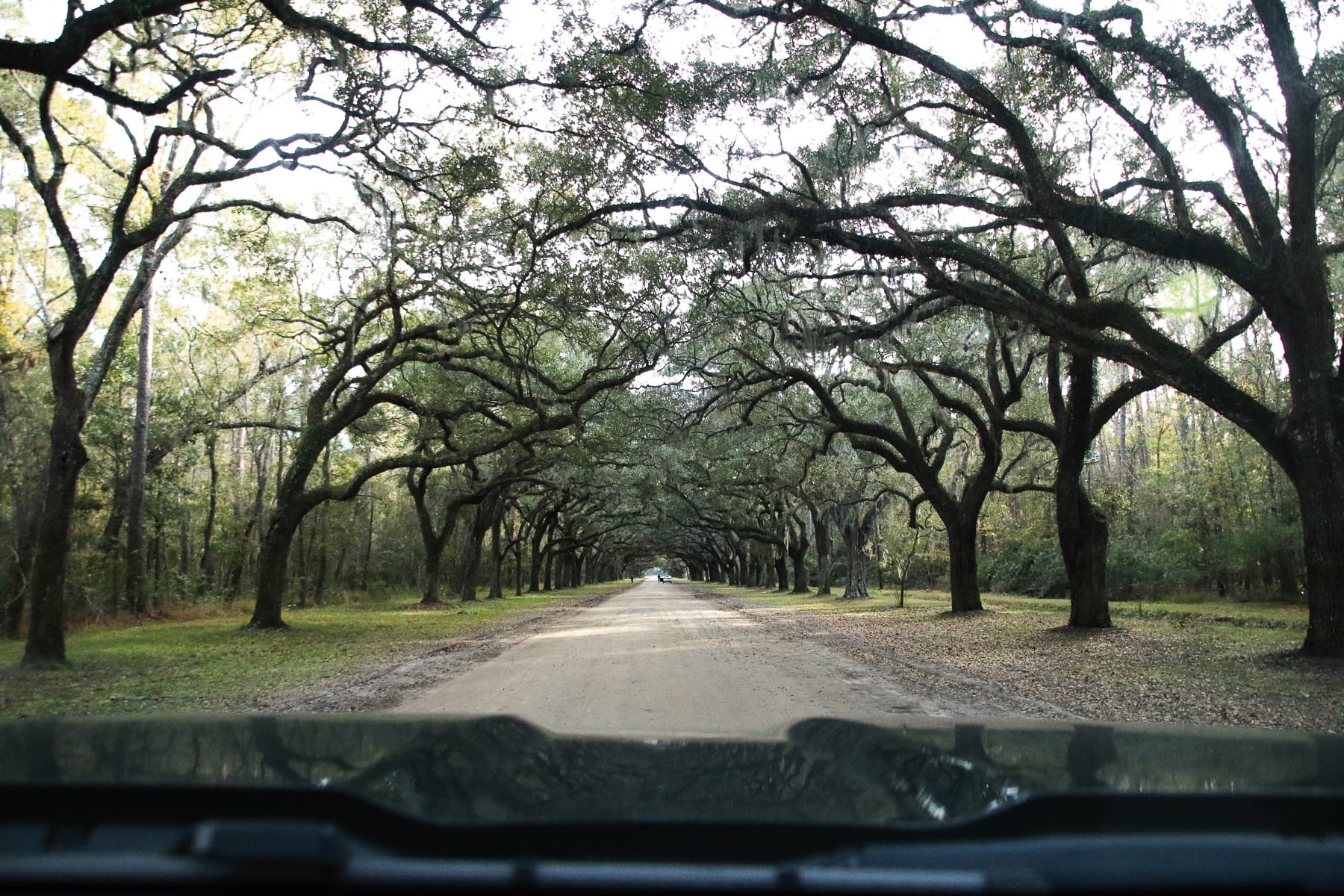 14-SC-journey-savanah23