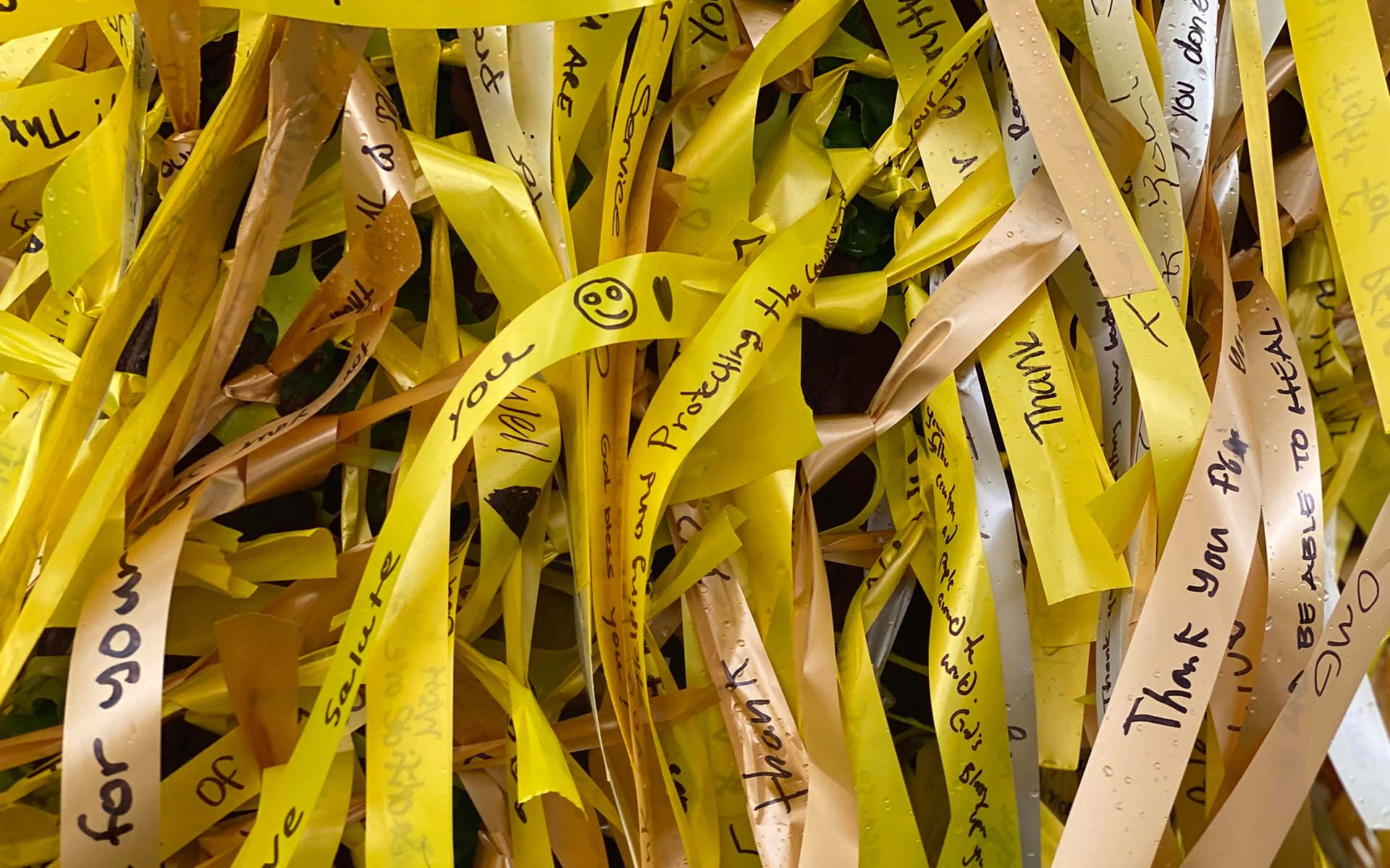 hasheart-yellowribbons