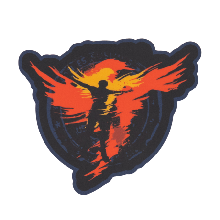 Thru The Fire / Decal