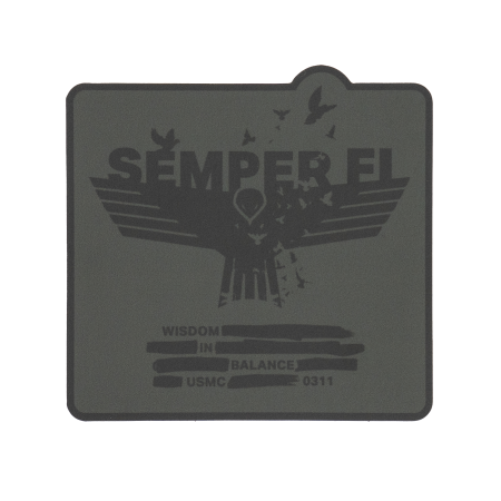 Wisdom In Balance / Decal